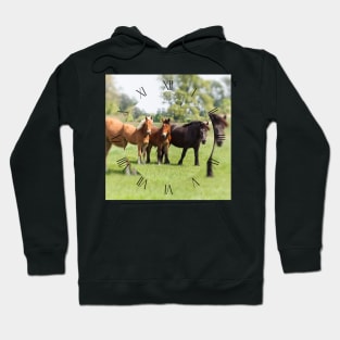 Three horses on pasture looking at camera Hoodie